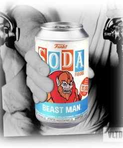 Beast Man MOTU Funko Vinyl SODA 1:6 Chance At A Flocked Chase!