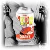 Quake Funko Vinyl SODA Ad Icons 1:6 Chance At A Chase!